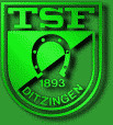 TSF Ditzingen